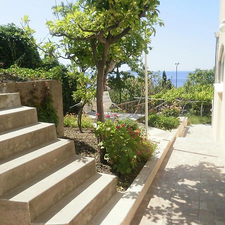 מליני Apartments Kust מראה חיצוני תמונה