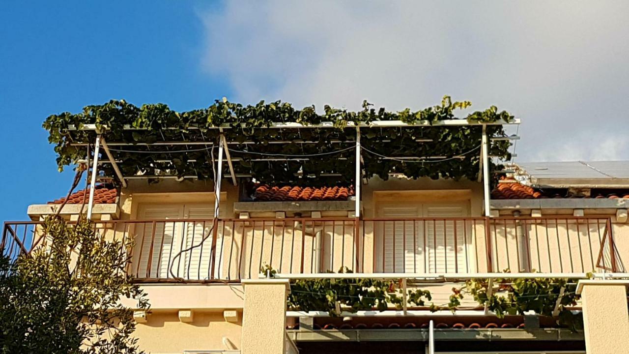 מליני Apartments Kust מראה חיצוני תמונה